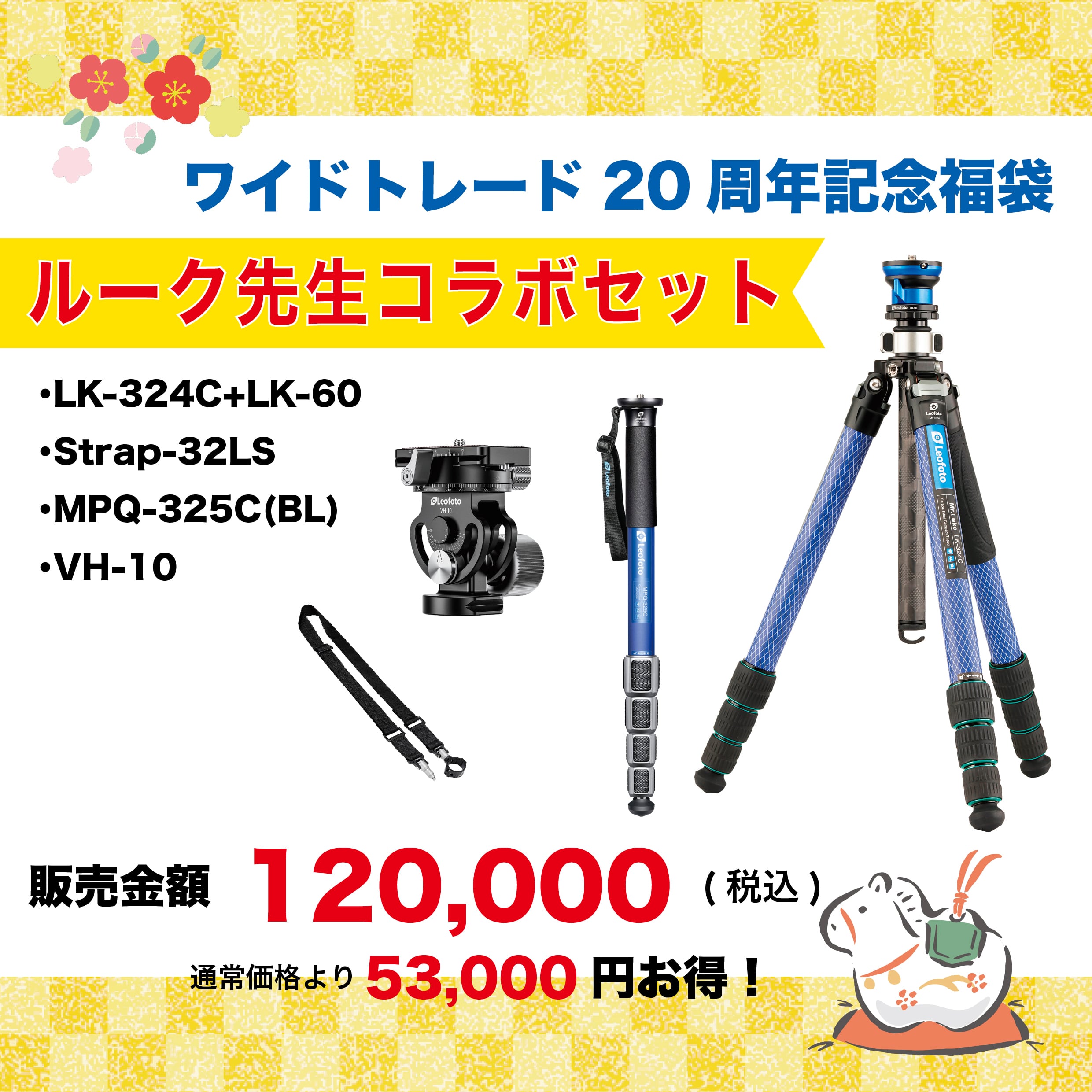 Canon RFレンズ RF100-400mm F5.6-8 IS USM Leofoto(レオフォト) LH-22 自由雲台LHシリーズ | Pay ID