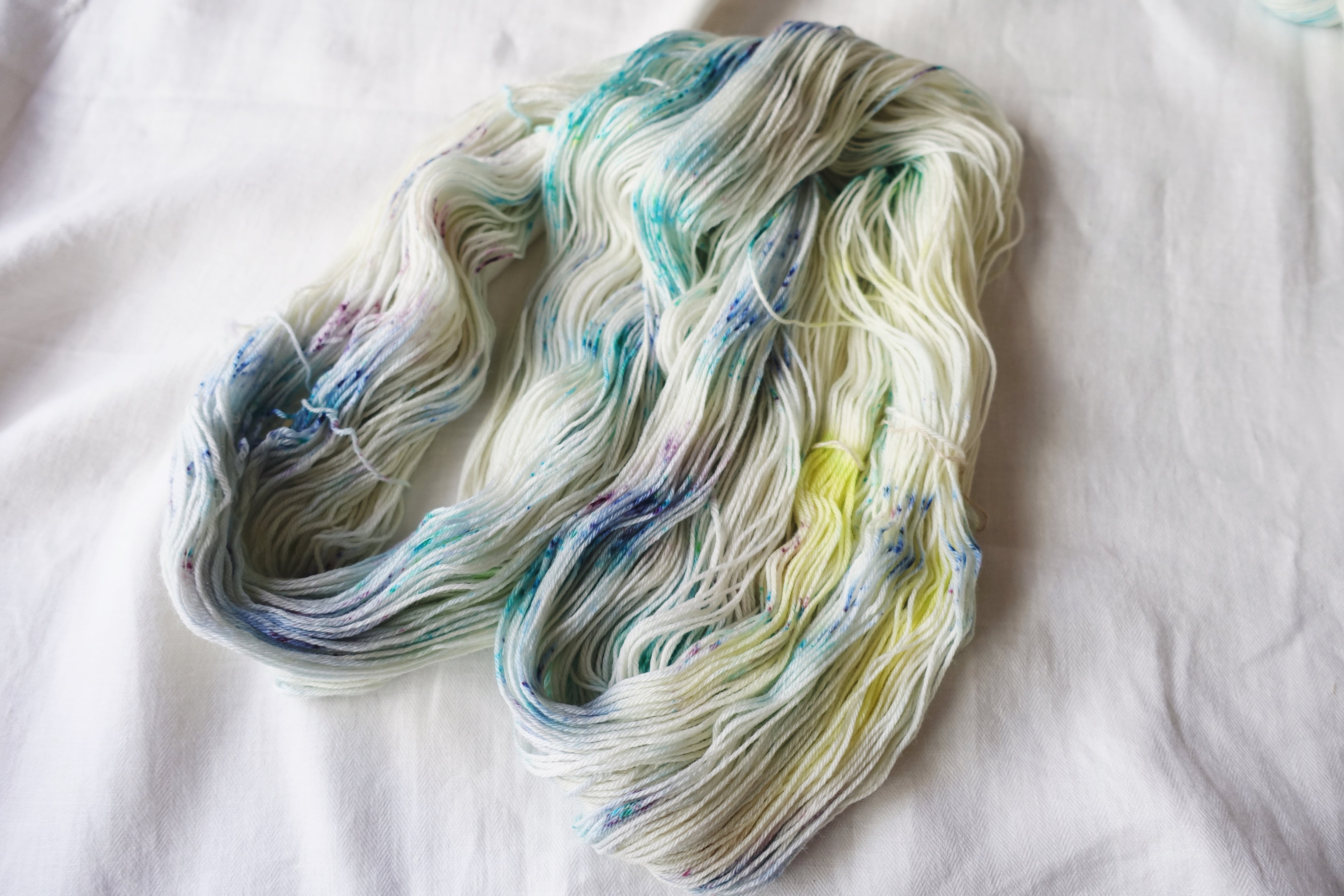 手染め毛糸]SperwashMerino100_4PLY_Lush life! | 手染め毛糸のYaoskep