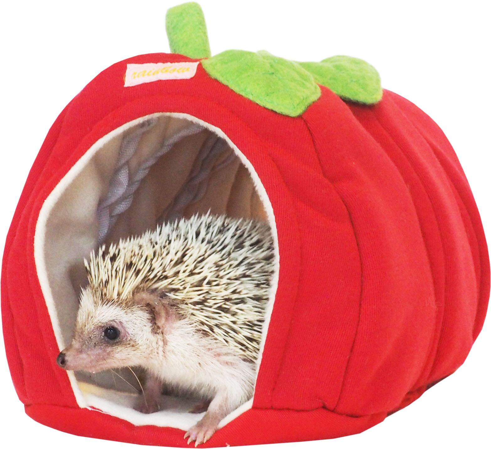 【小動物用品】みんなのりんごのトンネル
