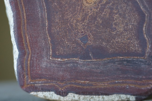 ゴビアゲート スラブ  Gobi Desert Eye Agate 2