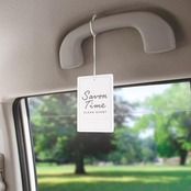 CARALL(カーオール) 晴香堂 車用 芳香剤 サボンタイム プレート 3個パック マイルドコットン 9gx3個 3544