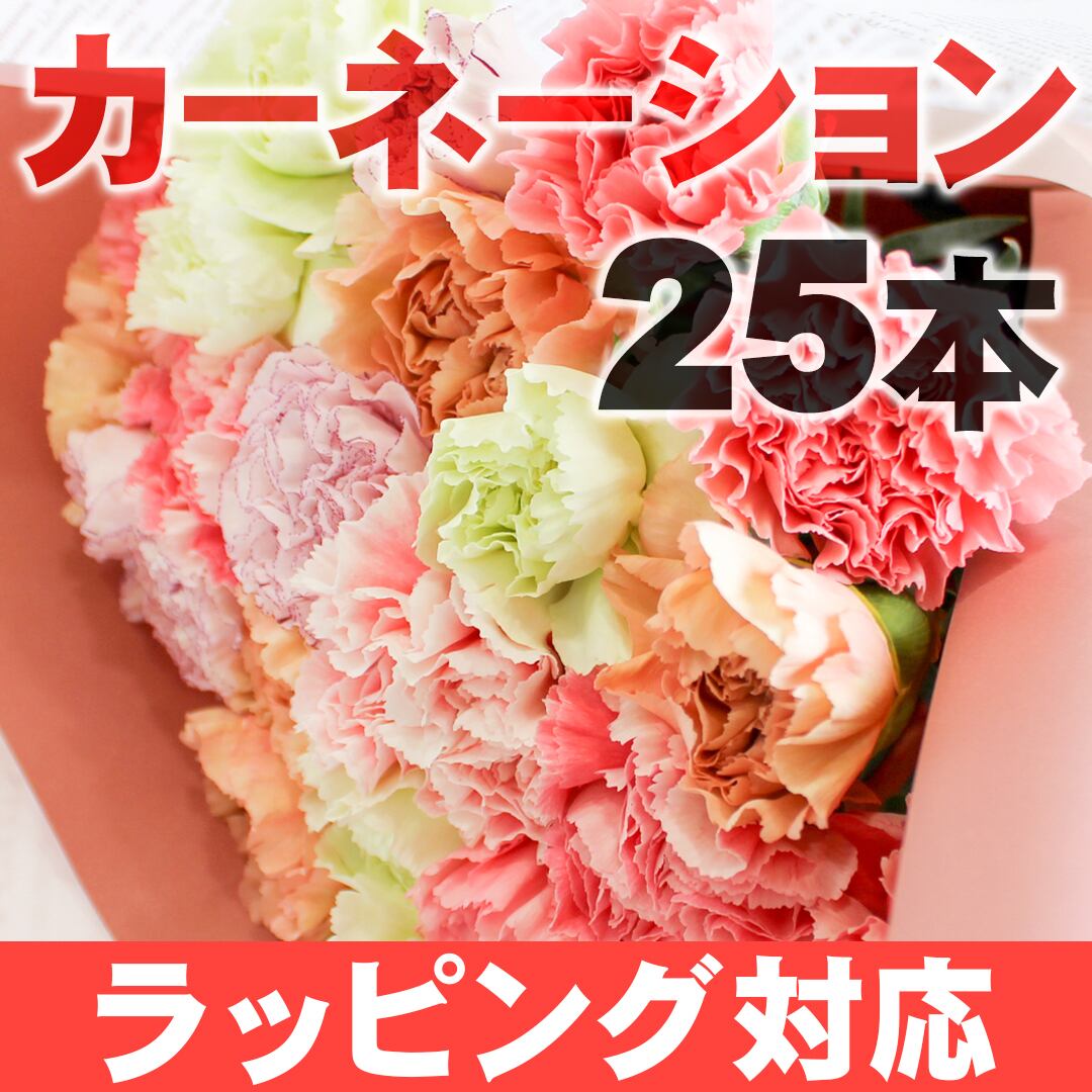 ラッピング カーネーション 25本 可憐 ボリューム感 フラワーロス支援 スマイルフラワープロジェクト