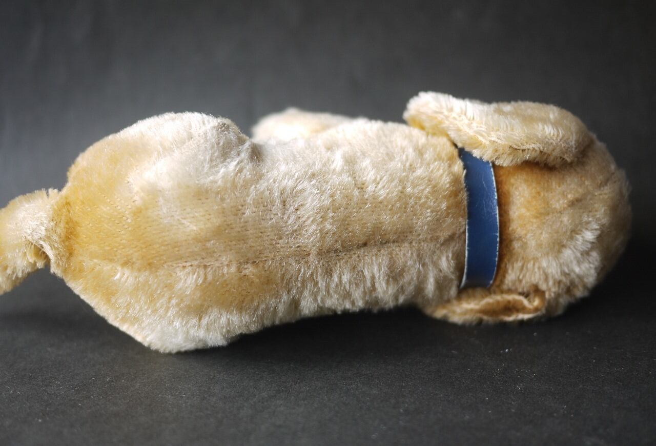 シュタイフ　クラシックシリーズ　1949　Bazi シュタイフ クラシックシリーズ 1949 Bazi