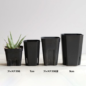 Flat Slit Pot 9cm ブラック 10個セット