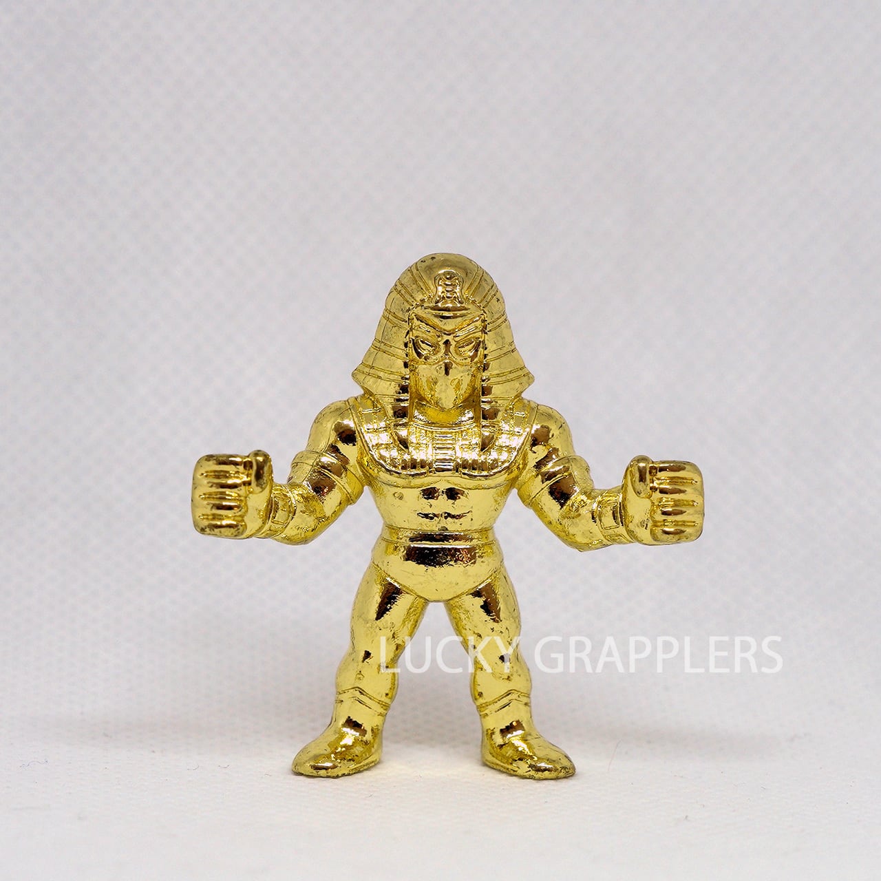 天龍源一郎 / Genichiro Tenryu | LUCKY GRAPPLERS