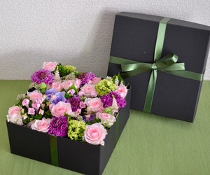 BOX Flower Pink