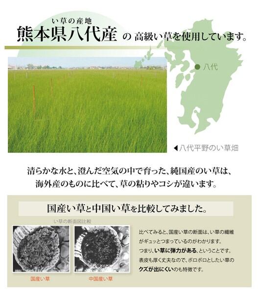 日本製 最高級 純国産 い草 上敷き カーペット 麻綿織 『清正』熊本県