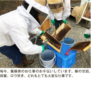 No.47ピュアモルトプレミアム3&1ウッドカスタム ブライヤー蜜蝋ワックス仕上 Wood Shop Depot 蜜蝋ワックス FRET FUSION WS-MW (容量:30ml)【木材の