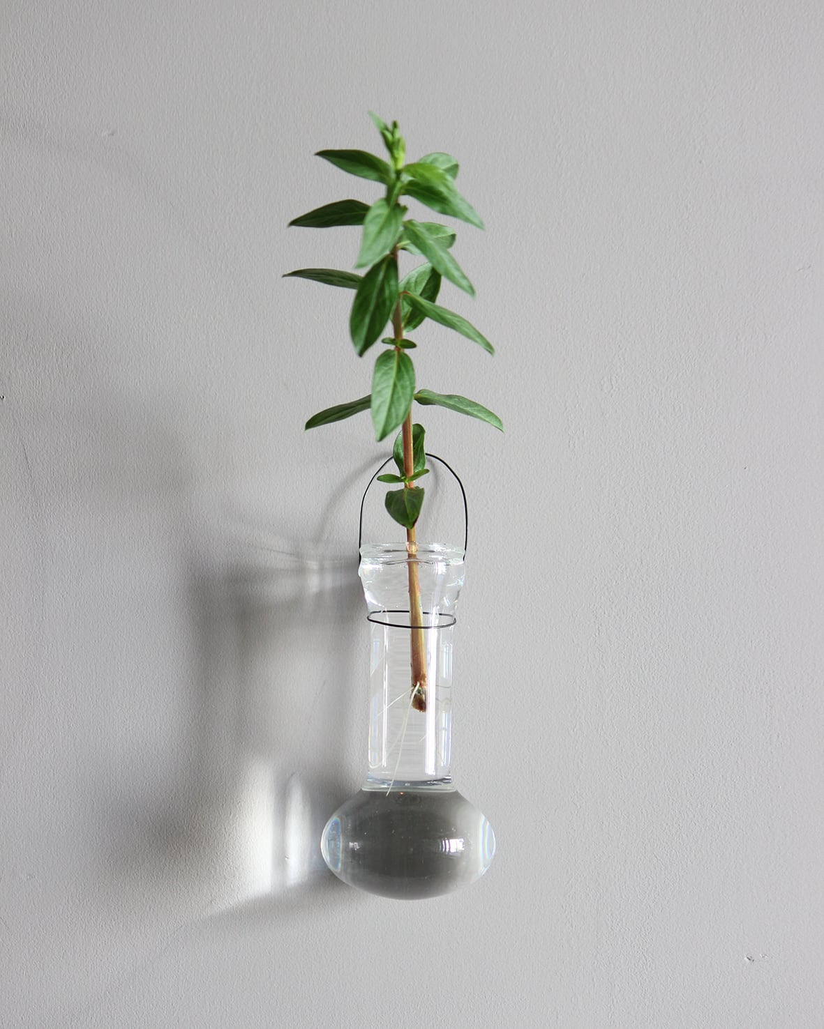 光井威善《 bottle people / room 》 | S K L o