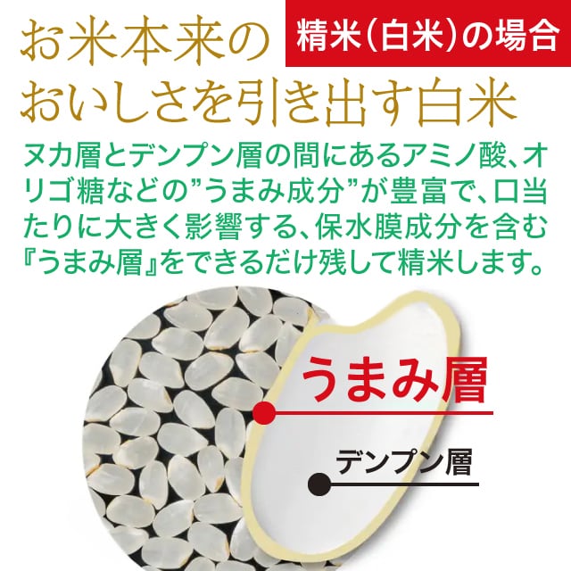 農家直売・特別栽培米 きぬむすめ 玄米10kgまたは白米9kg〈1週間