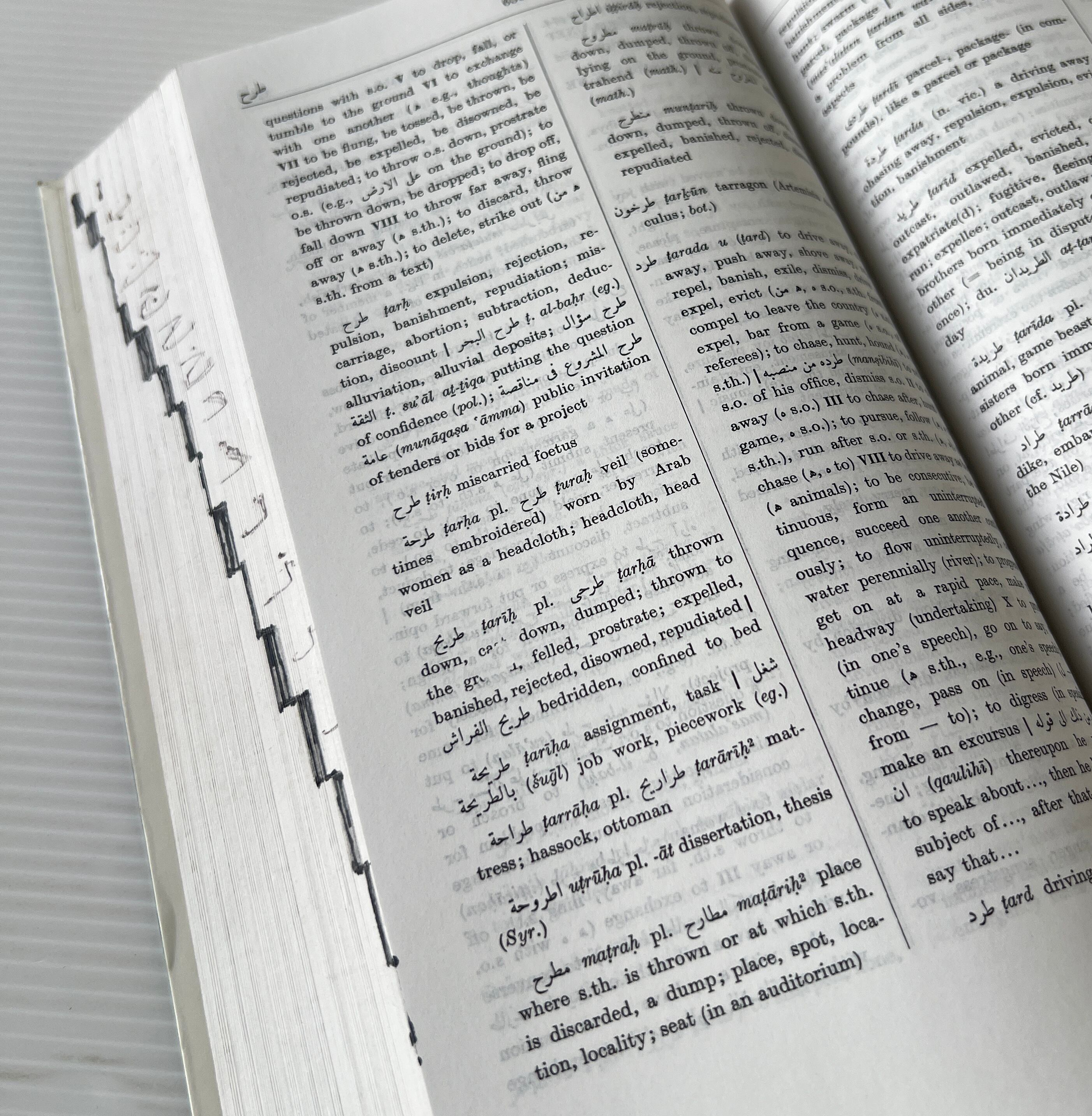 Arabic-English Dictionary: The Hans Wehr Dictionary of Modern Written Arabic / J. M. Cowan / Spoken Language Services