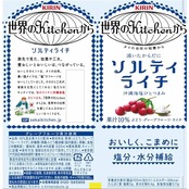 キリン 世界のKitchenから ソルティライチ 500ml 24本 ペットボトル 塩分・水分補給飲料 熱中症対策 スポーツドリンク