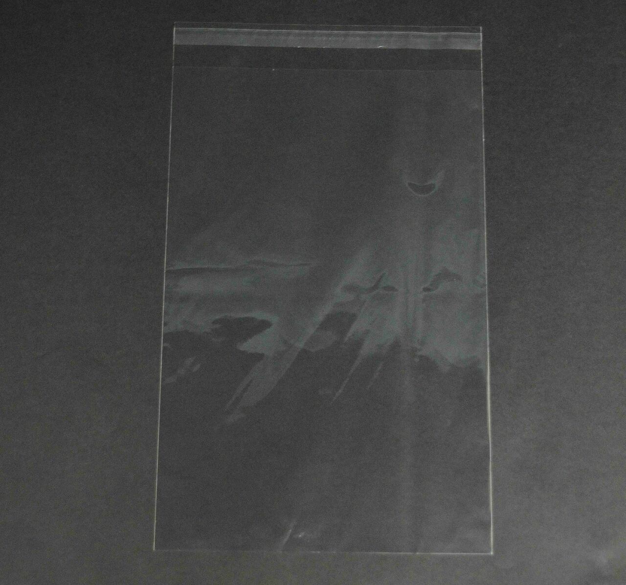 雑貨小分け包装・部品、資料整理(OPP袋 OPP袋 雑貨袋 テープ付き)横330×縦530+フタ40mm 40μ(0.04mm)【1,000枚】