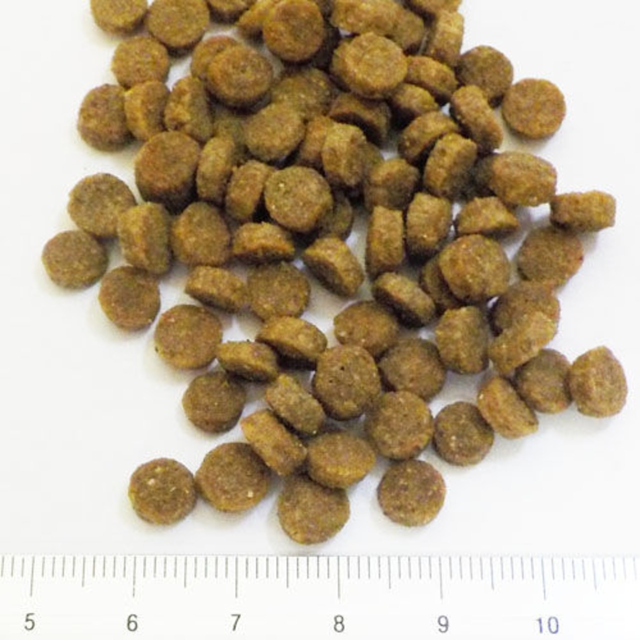 ※訳アリ商品【アディクション（ADDICTION）ビバ・ラ・ベニソン(1.8kg)】アレルギー対応,鹿生肉使用グレインフリーキャット,アレルゲン不使用,くいつき抜群！