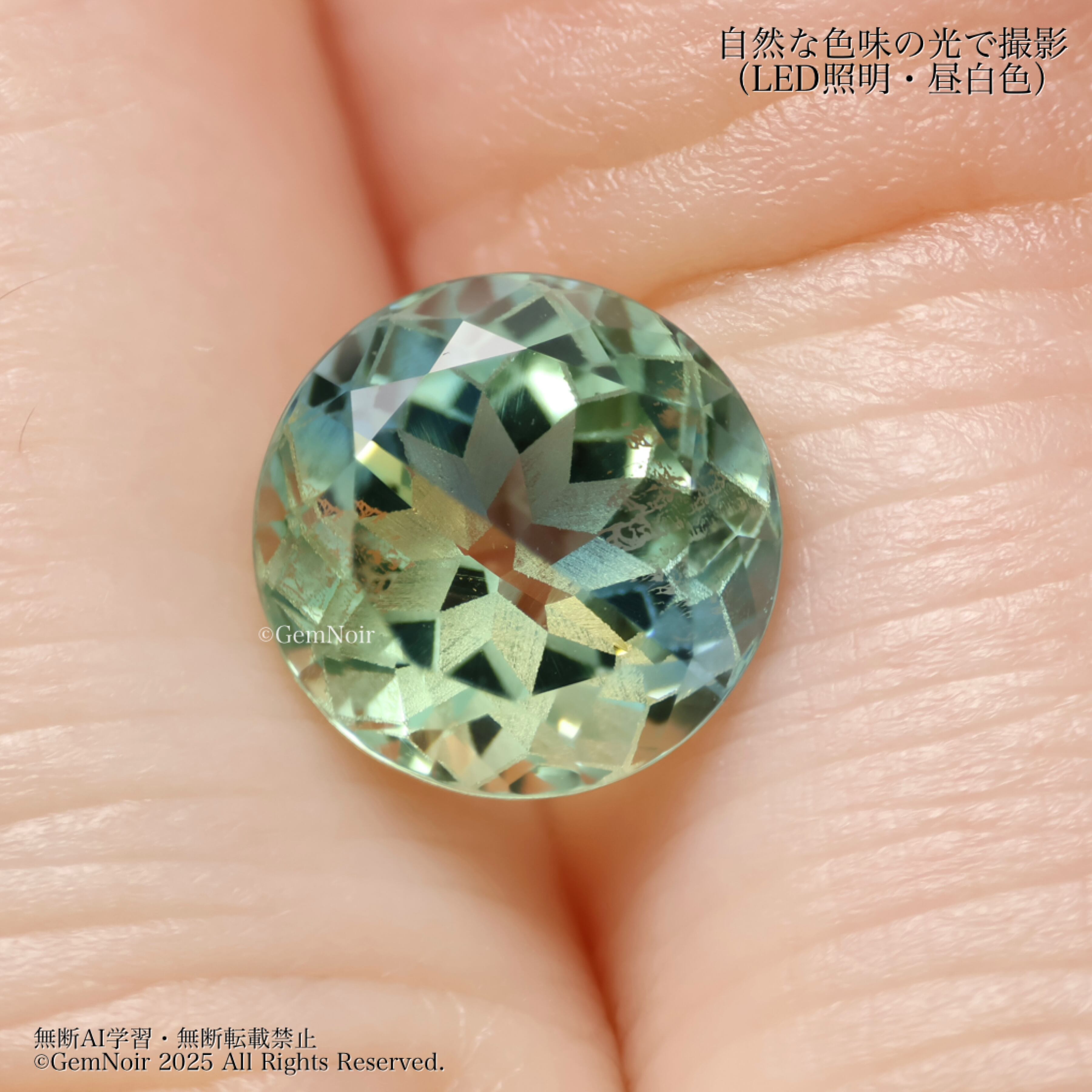 水と風が育てた星の花・黎明の章】 宝飾用特殊ガラス 星が潜む満開の花