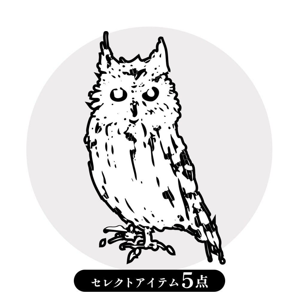 福籠-白- / フクロウシロ