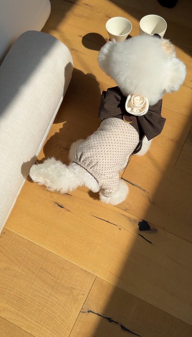 〈予約アイテム〉SICGGU/  マロンミニドット オールインワン