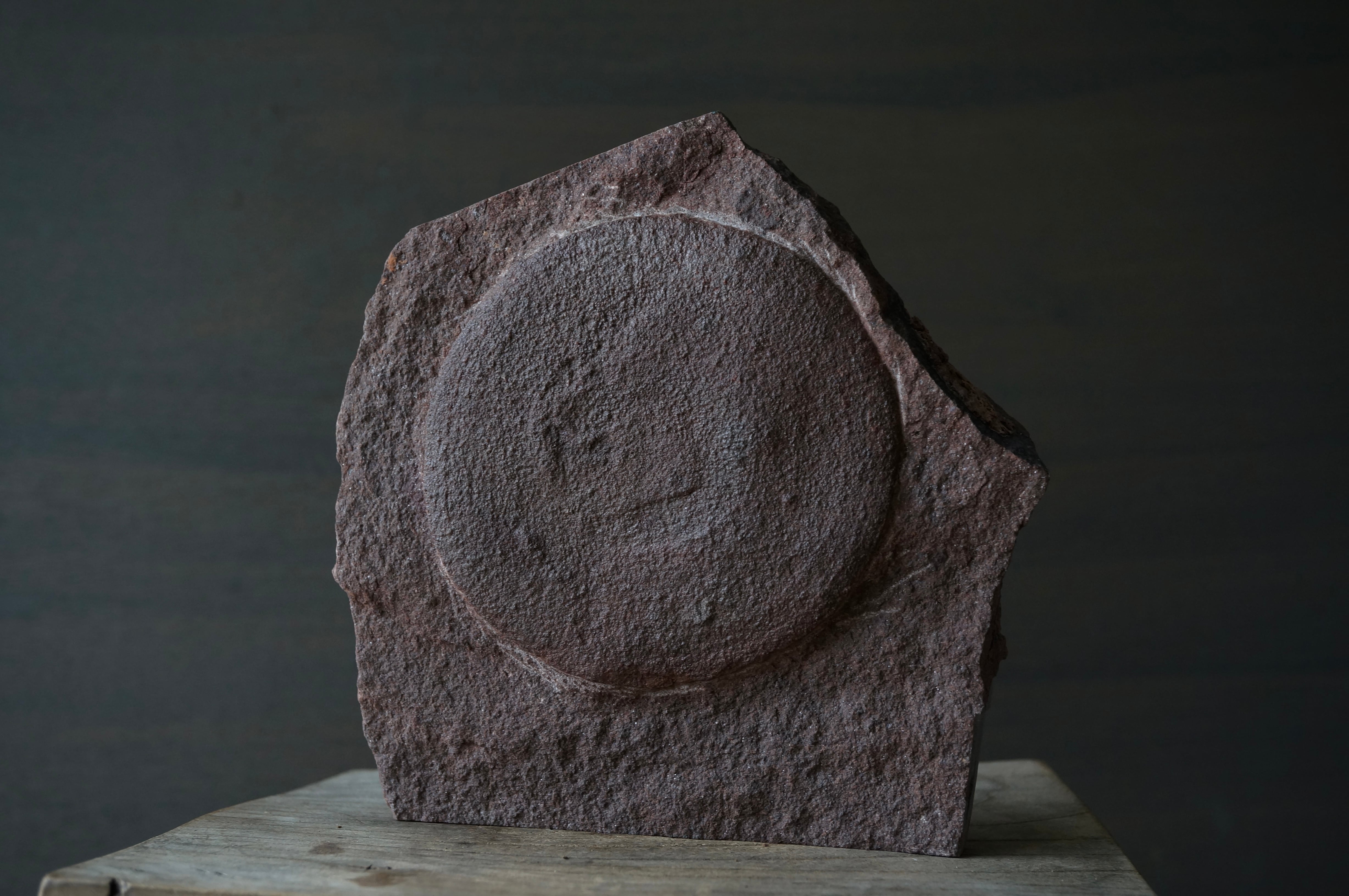 イクチオサウルス化石 骨 Ichthyosaurus Bone | 叙景 jokei