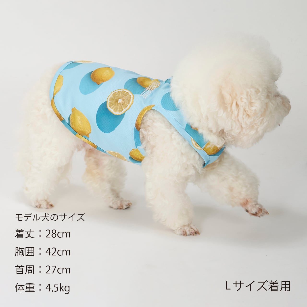 CCL COOLING TANK（M.MD.L） CCLクーリングタンク | MANDARINE