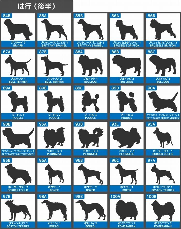 犬 ステッカー 車 玄関 波乗り シール サーフィン おしゃれ かわいい