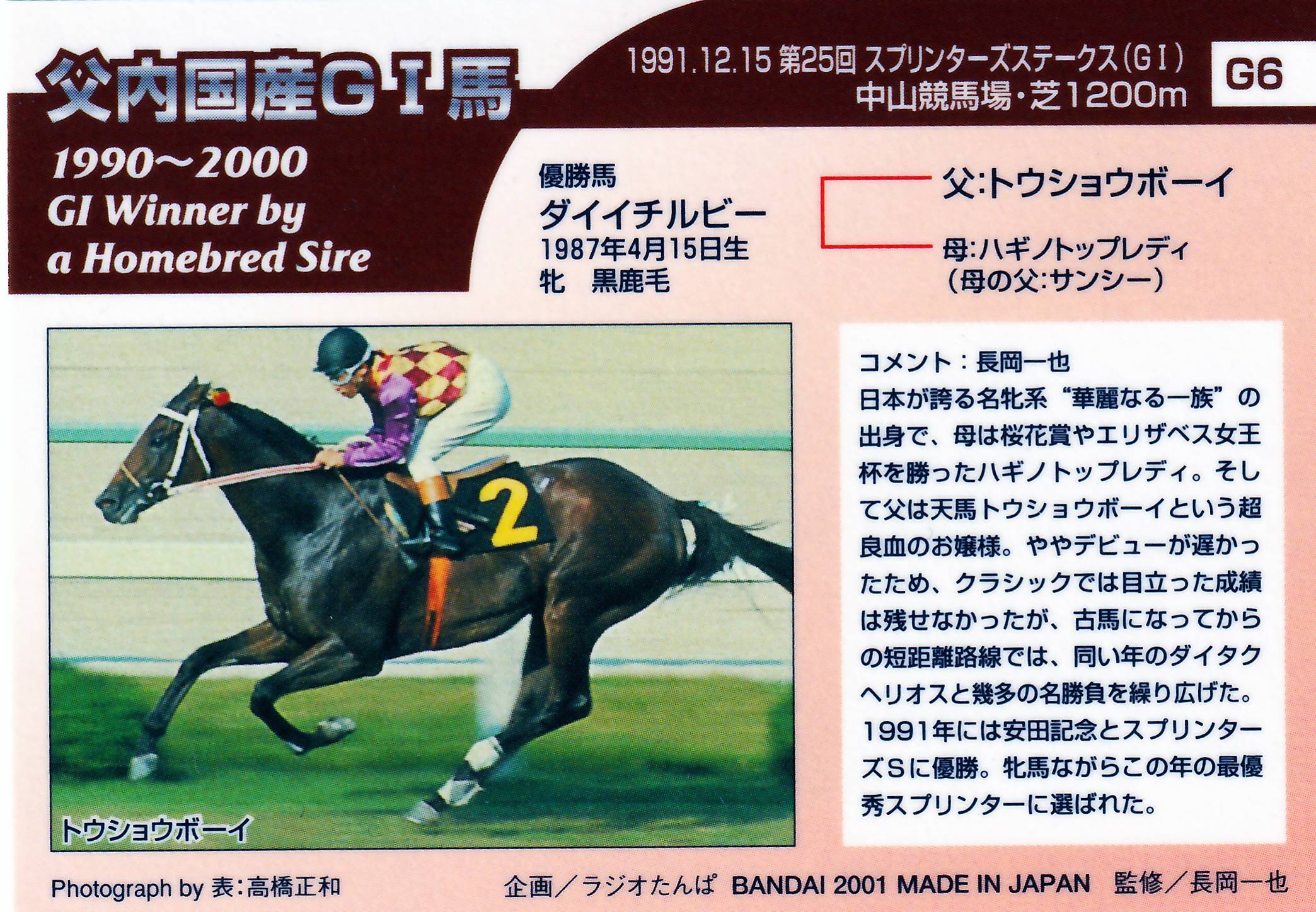 ダイイチルビー　メモリアル　サラブレッドカード　トレーディングカード ダイイチルビー「サラブレッドカード 00年下半期」G6 | カードショップ