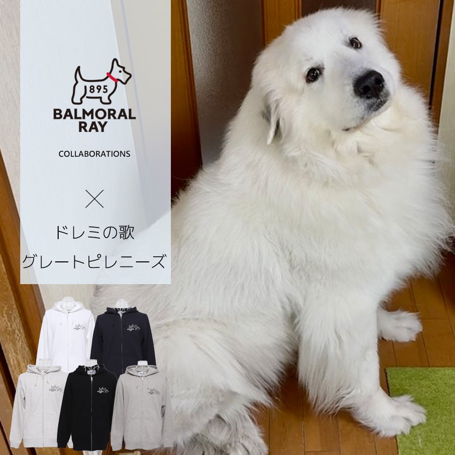 完全受注生産】ドレミの歌グレートピレニーズ×BALMORAL RAYコラボZIP
