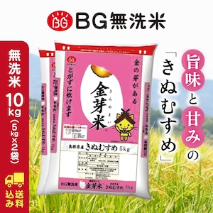 きぬむすめ 10キロ 令和5年産 金芽米 送料込み