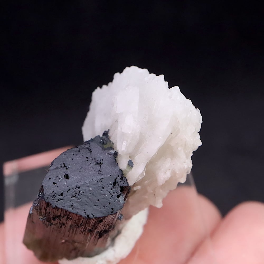 グリーン トルマリン 母岩 クォーツ 電気石 10,9g T536 鉱物 グリーン トルマリン 母岩 クォーツ 電気石 10,9g T536 鉱物