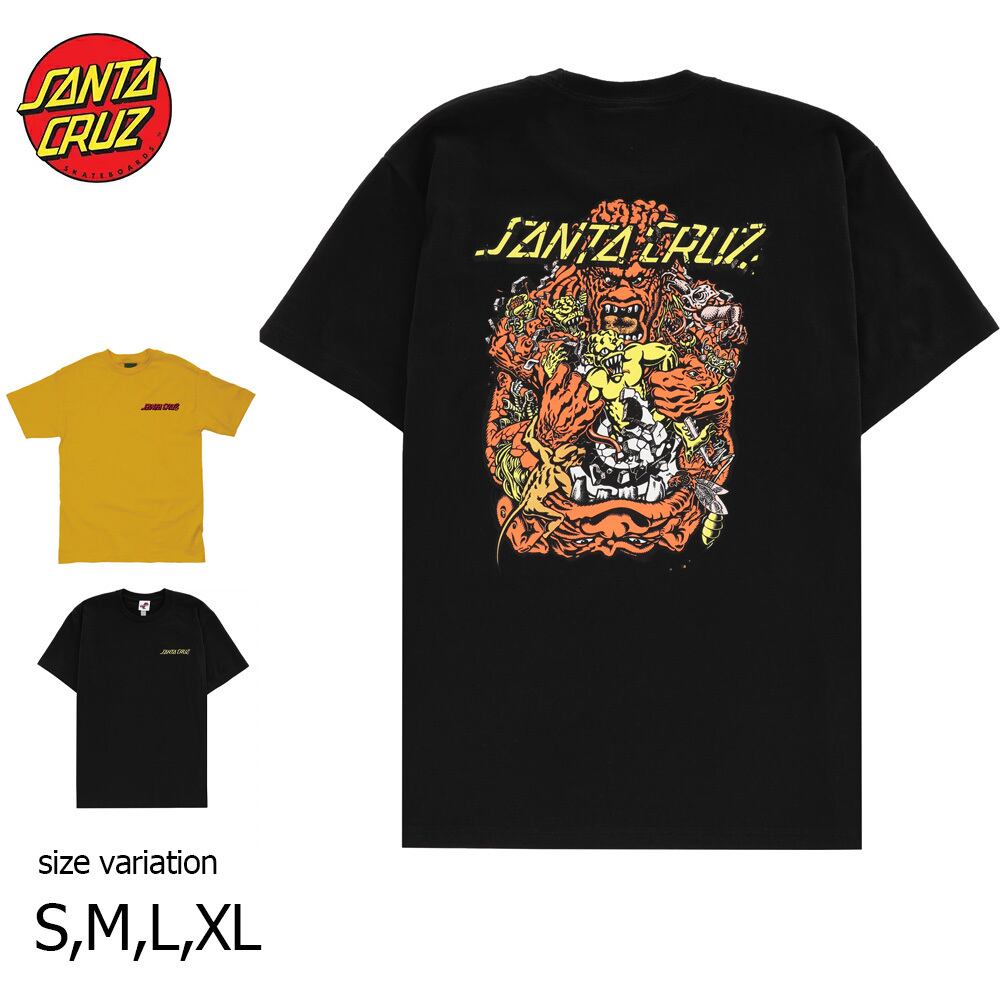 SANTA CRUZ S/S-T ROSKOPP THE FIVE 22SP BLACK ATQ GLD Tシャツ