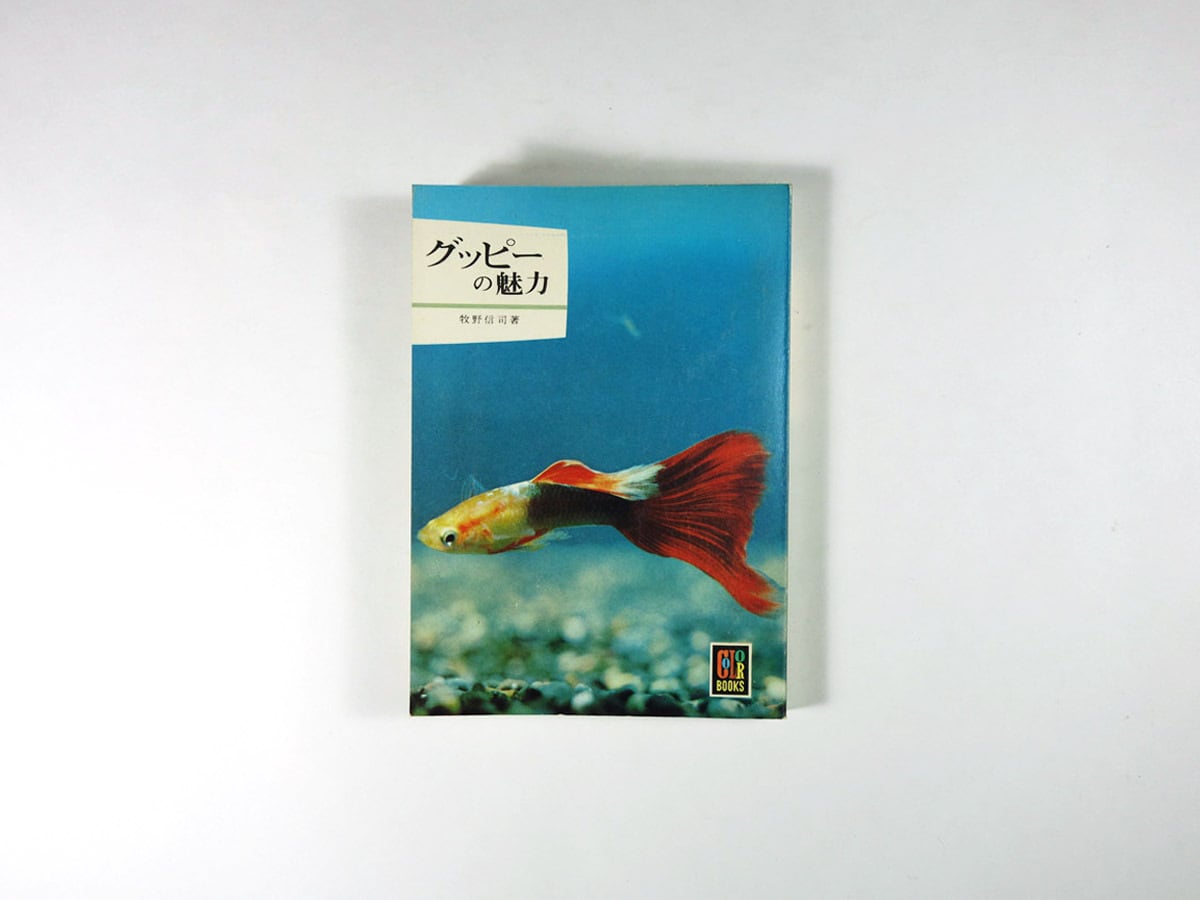 グッピーの魅力(牧野信司 著)- カラーブックス179