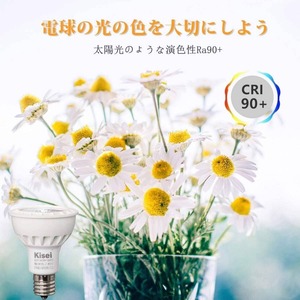 LEDハロゲン 電球色 2個セット LEDスポットライト 5W 明るさ 演色性Ra90 E17口金 125lm 寿命40000H KS-SD-6
