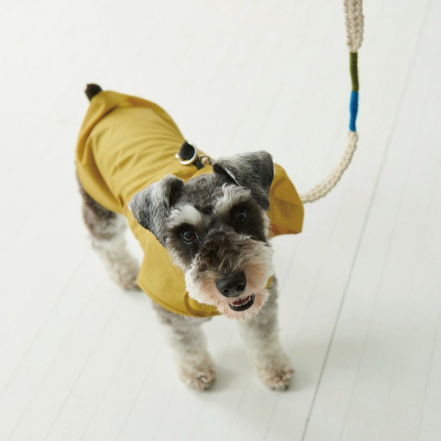 わんこ レインポンチョ "check"