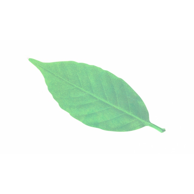 Leaf Thermometer（L）/ リーフサーモメーター