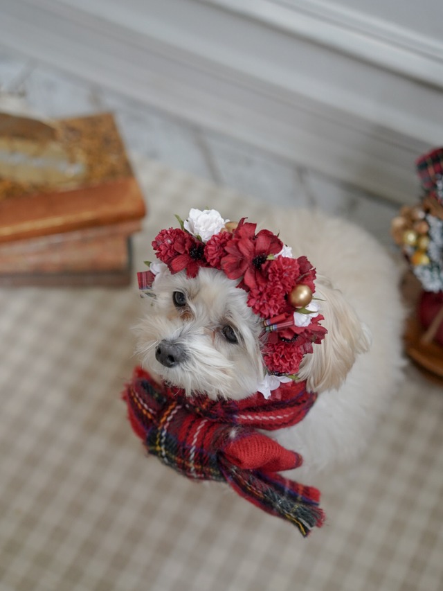 〈予約アイテム〉Drops flower item Christmas wreathe & flora crown - Red check ribbon(セット販売)