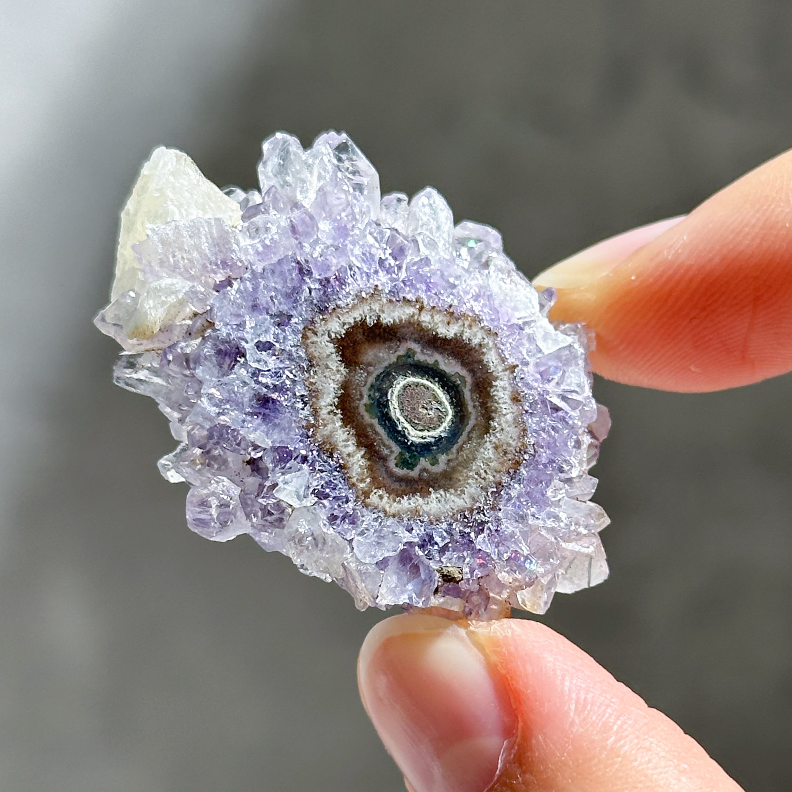 フラワーアメジスト スライス44◇ Flower Amethyst ◇天然石・鉱物