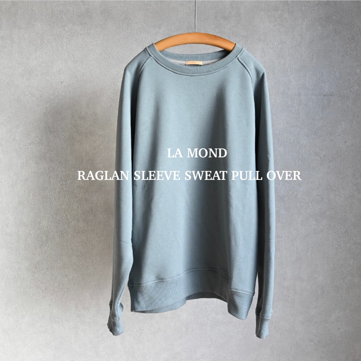 RETRO BRAND : 希少　RAGLAN SLEEVE SWEAT