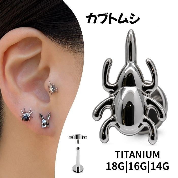 14G ANATOMETAL 限定商品/Limited Itemブリリアントカットポラリス