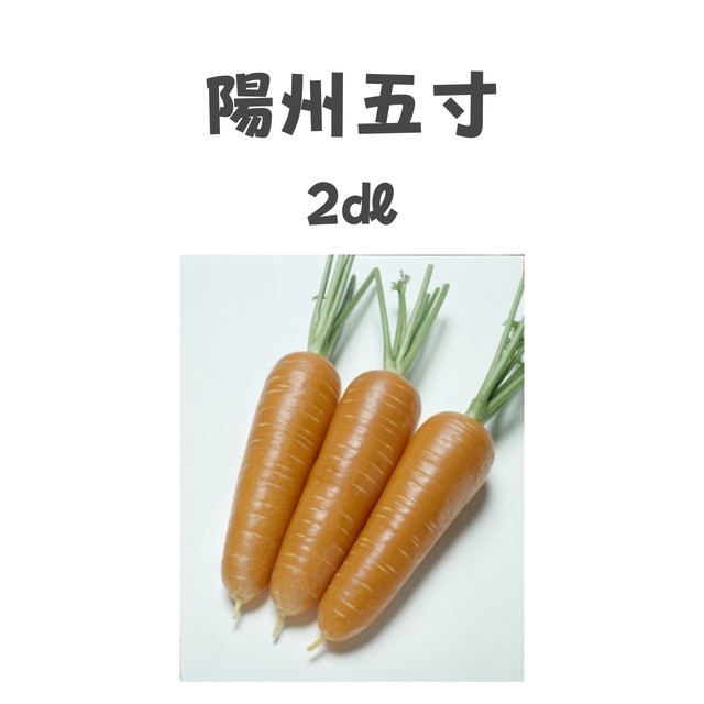 陽州五寸　ニンジン種子・2dl