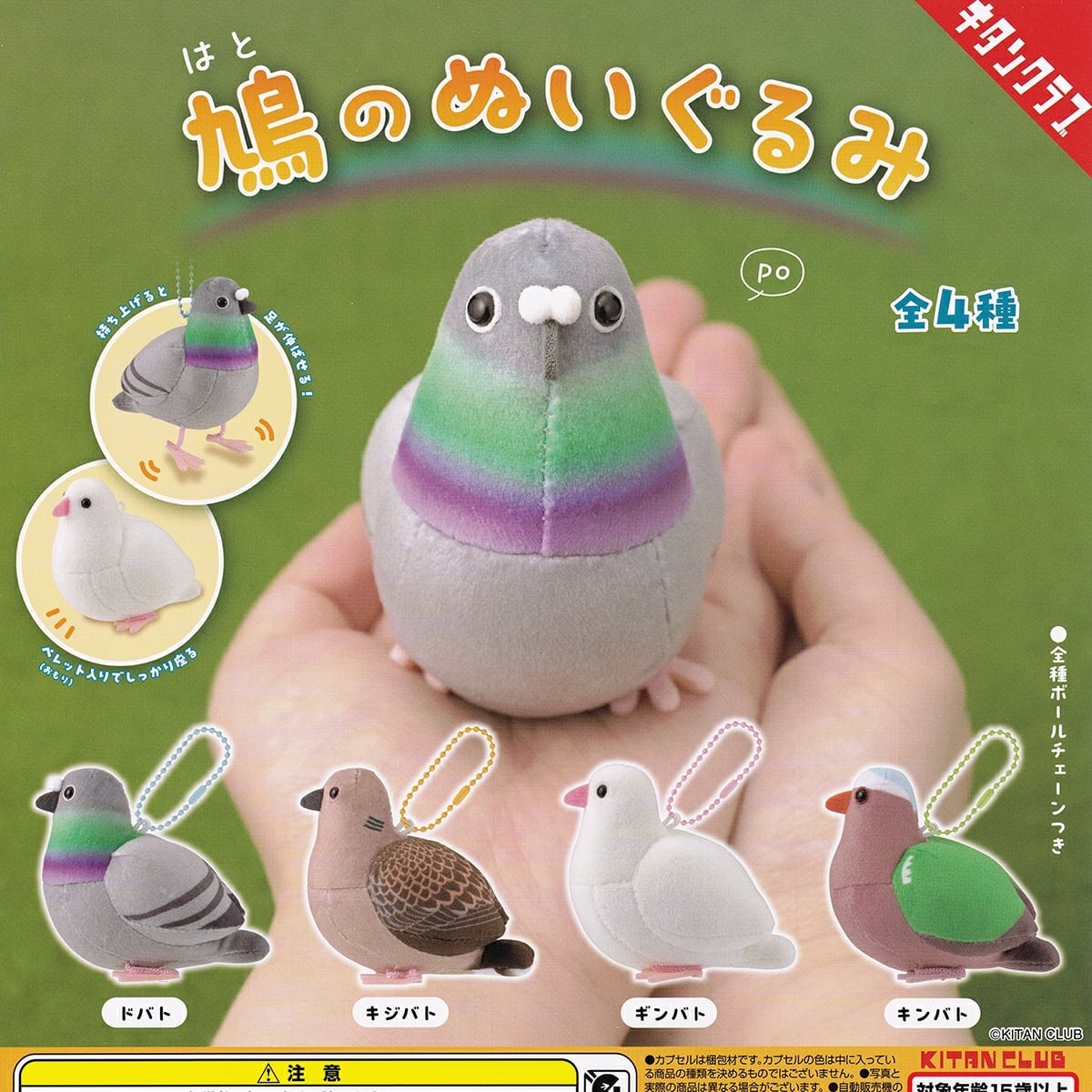 フルコンプ】 鳩のぬいぐるみ 【全4種フルコンプセット＋DP台紙
