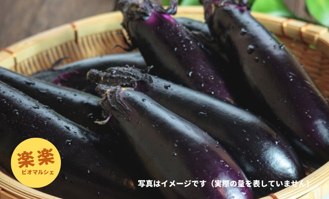 なすB品(大容量お得サイズ・1㎏単位)