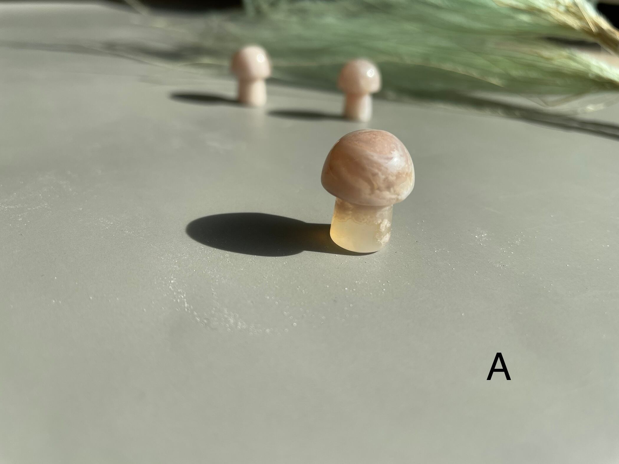 桜めのう　きのこ