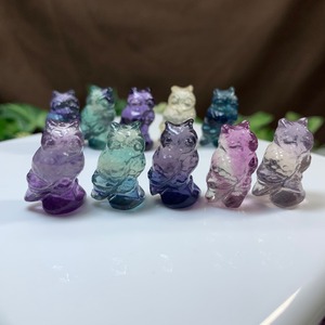 6.可愛い大家族･小さいフローライトふくろう