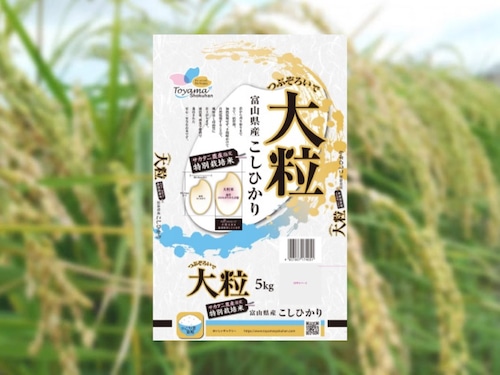 大粒『5kg』 【コシヒカリ・とやまのお米・富山県産・おいしいお米】
