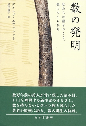 数の発明——私たちは数をつくり、数につくられた