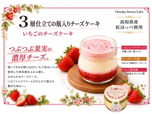 高知県産いちご【紅ほっぺ】の贅沢チーズケーキ6個セット【とさレモンが爽やかに香る】