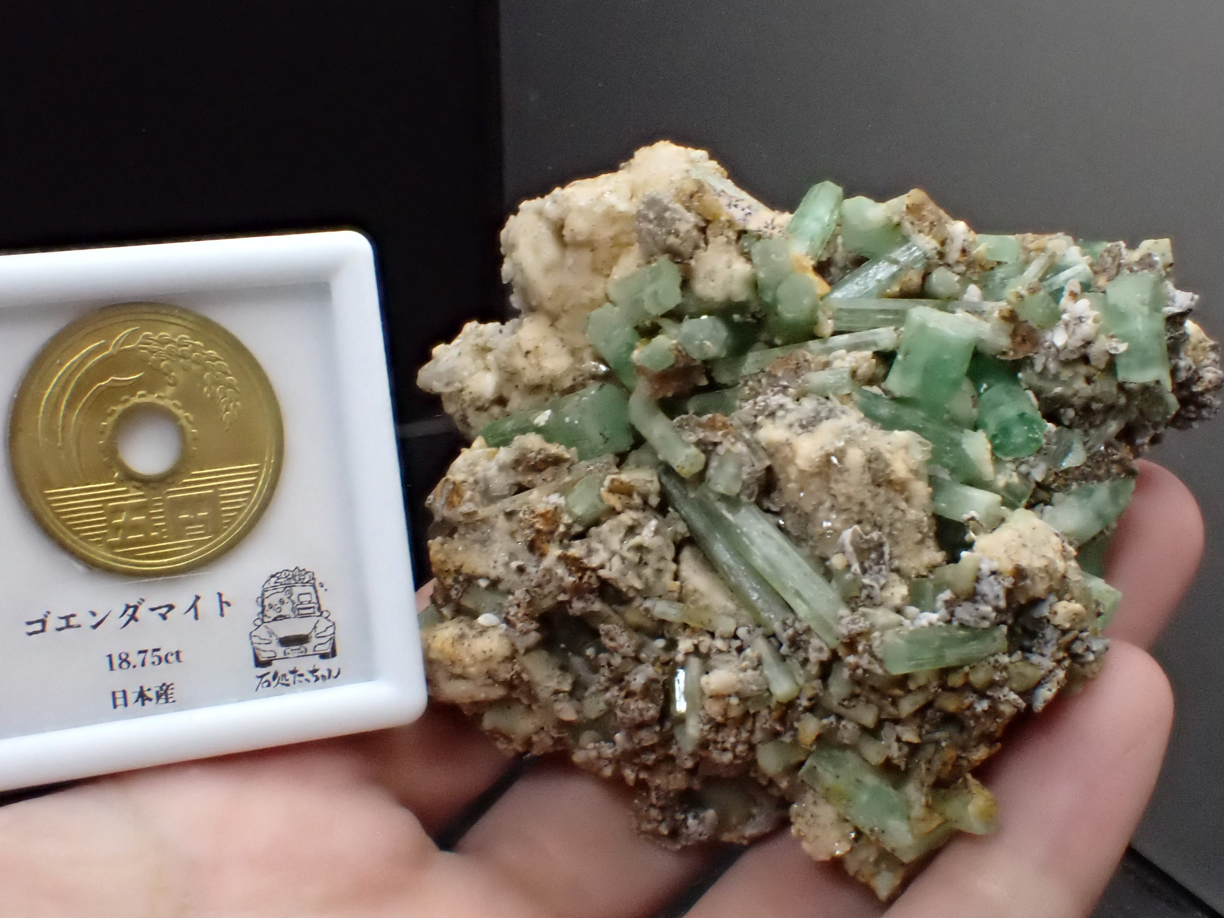無数結晶】宝石質 エメラルド 緑柱石 原石 鉱物 標本 天然石 | 石処