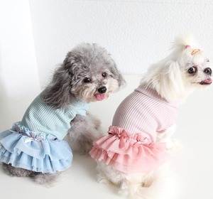 ドッグウェア　リブニットリボン付きチュールワンピース　ピンク　犬服