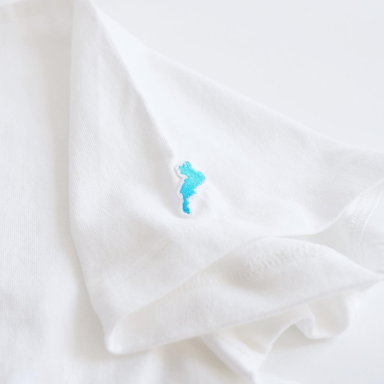 BIWAKO CITY   / EMBROIDERY LOGO TEE