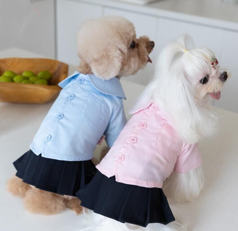 《予約》№1102963 パステルトップス