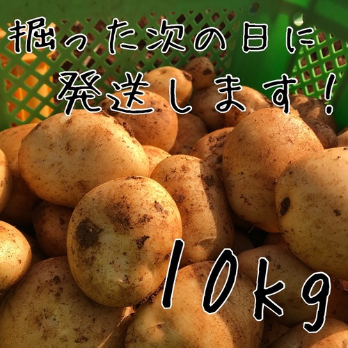 送料無料！新じゃが10kg！